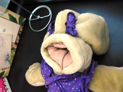 wrinkles purple a